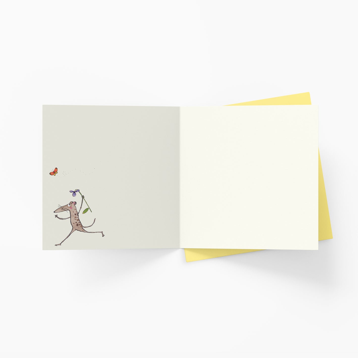 K047 - Happy Birthday - Twigseeds Greeting Card