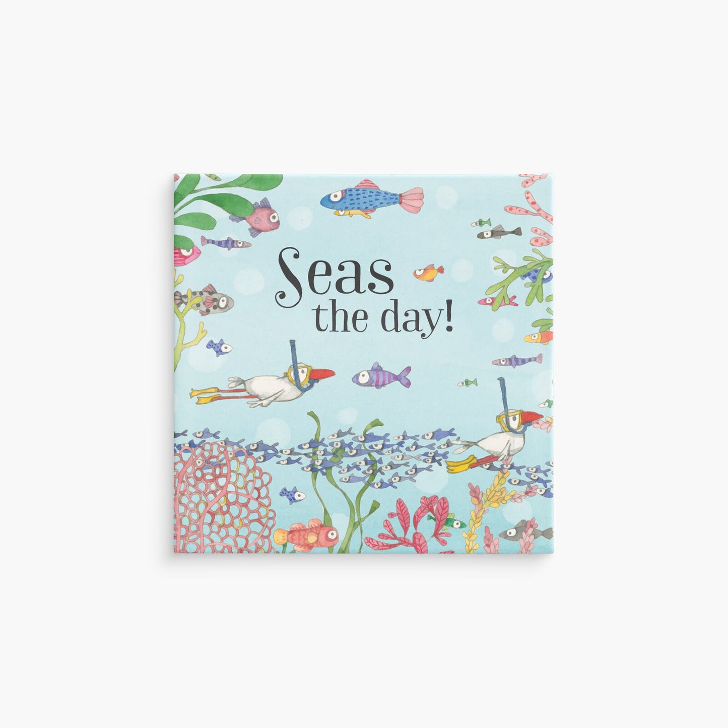 MGK09 - Twigseeds Magnet - Seas The Day!