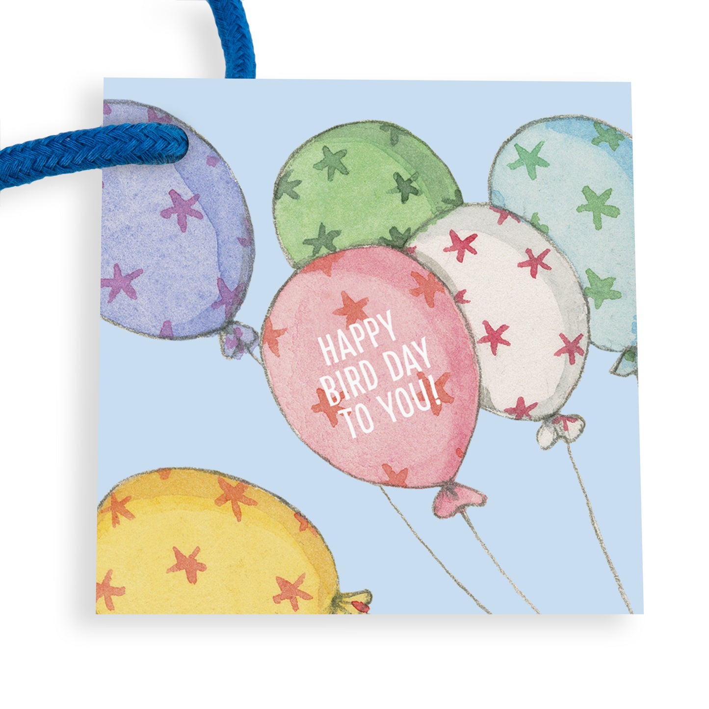 Twigseeds Gift Bag Medium - Happy Bird Day Party