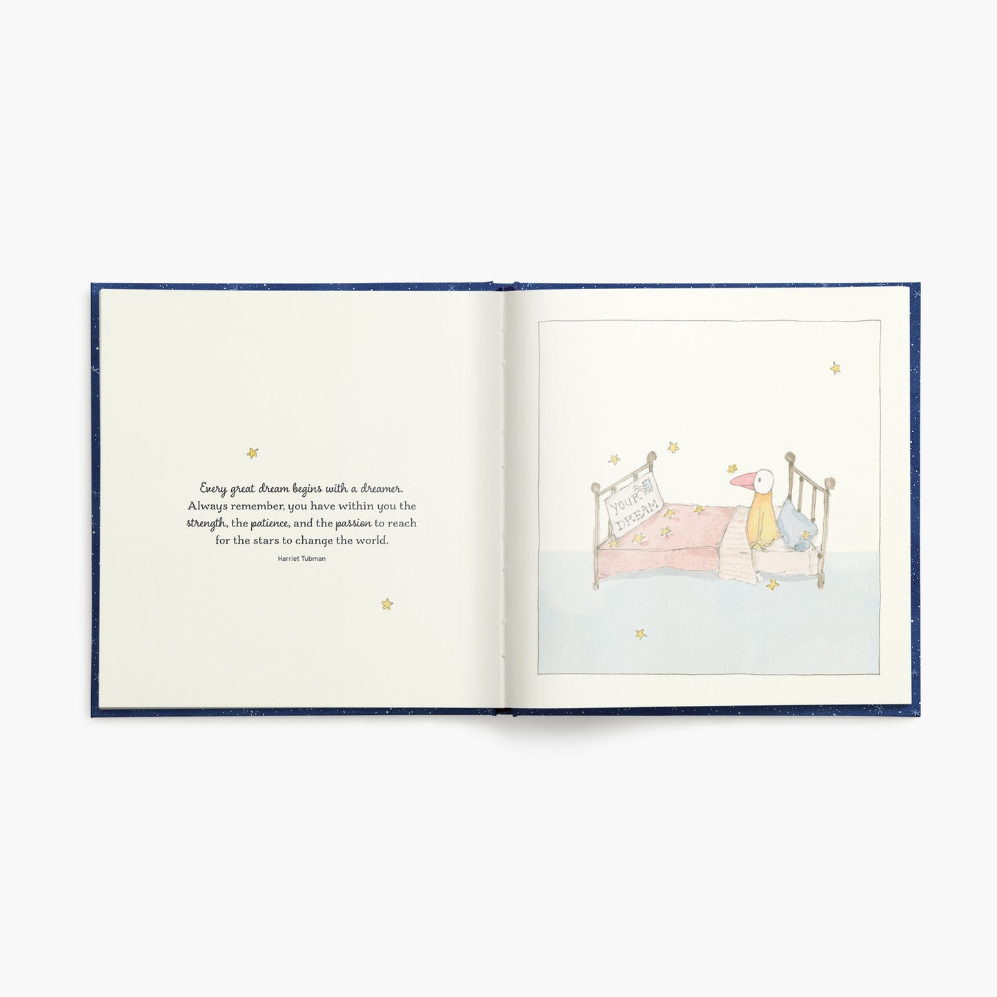 To the Moon and Back - Twigseeds Inspirational Book