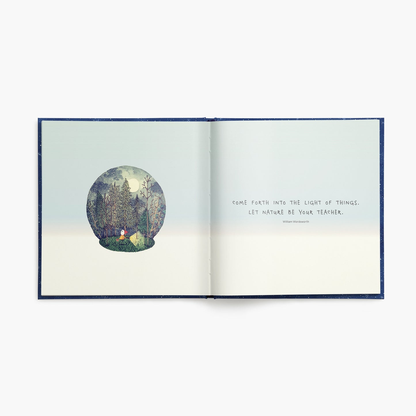 To the Moon and Back - Twigseeds Inspirational Book