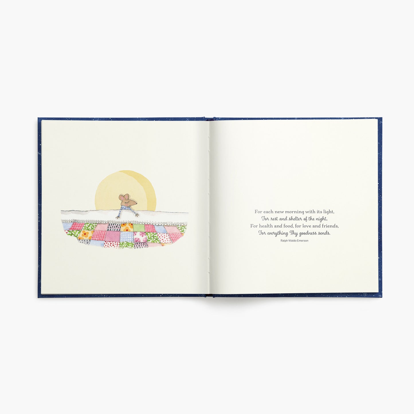 To the Moon and Back - Twigseeds Inspirational Book