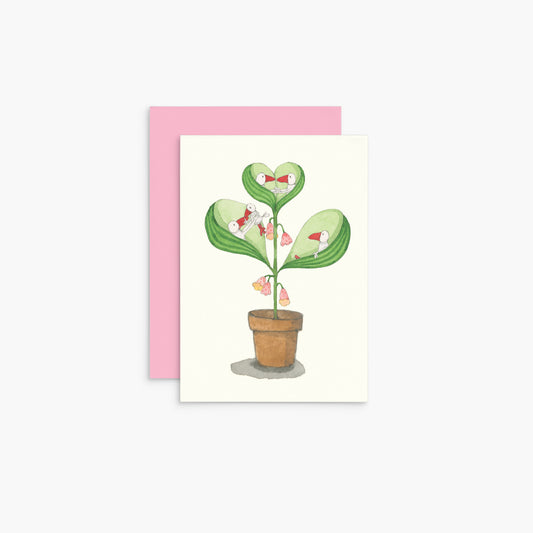 T367 - Cactus Illustration - Twigseeds Mini Family Card